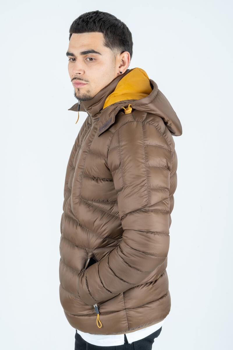 Platini Jeans Mens Bubble Jacket w/Rib Collar & Cuffs (BROWN)